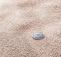 Ковролин Vorwerk Superior 1067 Mira Vorwerk 1n48 фото 1 | FLOORDEALER