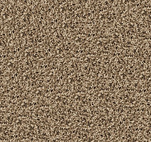 Ковровая плитка Desso Twist 1660 фото 1 | FLOORDEALER