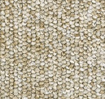 Ковролин Balsan Centaure 2000 Centaure 630 фото 1 | FLOORDEALER