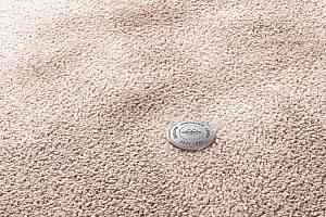 Ковролин Vorwerk Superior 1067 Mira Vorwerk 1n48 фото  | FLOORDEALER