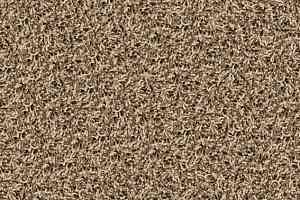 Ковровая плитка Desso Twist 1660 фото  | FLOORDEALER