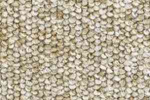 Ковролин Balsan Centaure 2000 Centaure 630 фото  | FLOORDEALER