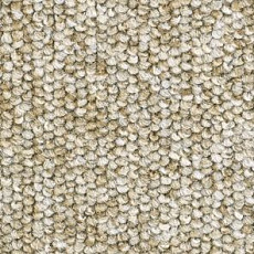 Ковролин Balsan Centaure 2000 Centaure 630 фото 1 | FLOORDEALER