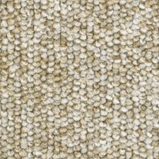 Ковролин Balsan Centaure 2000 Centaure 630 фото 1 | FLOORDEALER