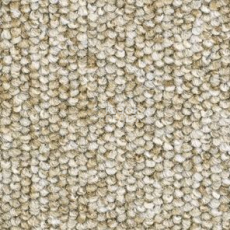 Ковролин Balsan Centaure 2000 Centaure 630 фото 1 | FLOORDEALER