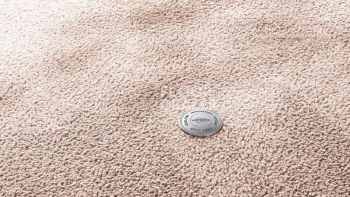 Ковролин Vorwerk Superior 1067 Mira Vorwerk 1n48 фото 1 | FLOORDEALER