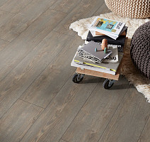 Kronotex Exquisit Plus d40532 Дуб Рубин Платиновый фото 2 | FLOORDEALER