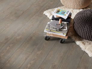 Kronotex Exquisit Plus d40532 Дуб Рубин Платиновый фото 2 | FLOORDEALER