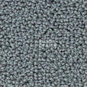 Ковролин Infloor Campino 550 фото 1 | FLOORDEALER