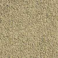 Ковролин Condor Crown Condor Crown  40 фото 1 | FLOORDEALER