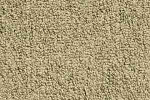 Ковролин Condor Crown Condor Crown  40 фото  | FLOORDEALER