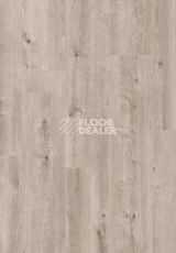 Ламинат ALix Floor Vitality Line 244/8мм Дуб заснеженный ALX00428JUM фото 1 | FLOORDEALER