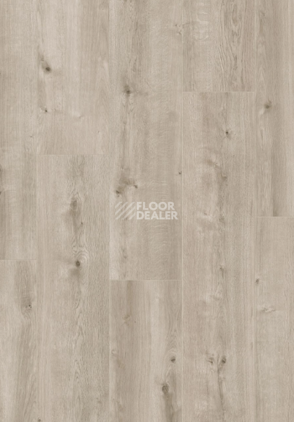Ламинат ALix Floor Vitality Line 244/8мм Дуб заснеженный ALX00428JUM фото 1 | FLOORDEALER