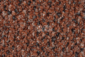 Desso Shape ac 74 5031 фото 4 | FLOORDEALER