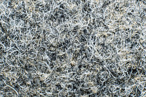 Ковровая плитка Forte в плитке 96002 t Granite фото 1 | FLOORDEALER