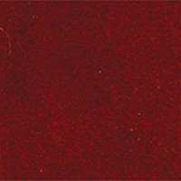 Ковролин Girloon Standard 165 фото 1 | FLOORDEALER