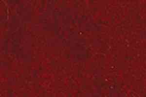 Ковролин Girloon Standard 165 фото  | FLOORDEALER