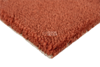 Balsan Les Best 565 фото 4 | FLOORDEALER