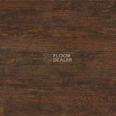 Линолеум Polyflor Camaro Wood 2239 фото 1 | FLOORDEALER