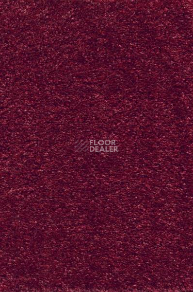 Ковролин AW Tossa 10 фото 1 | FLOORDEALER