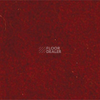 Ковролин Girloon Standard 165 фото 1 | FLOORDEALER