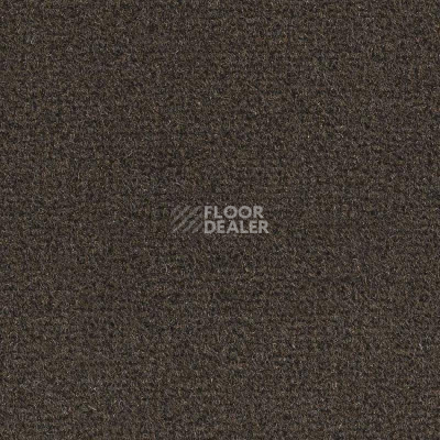 Ковролин Balsan Les Greens Confort+ 795 фото 1 | FLOORDEALER