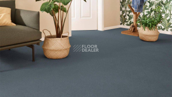 Vorwerk Superior 1071 Vorwerk 5y27 фото 2 | FLOORDEALER