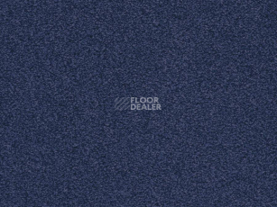 Ковролин Balta ITC Amaize Edison 78 фото 1 | FLOORDEALER