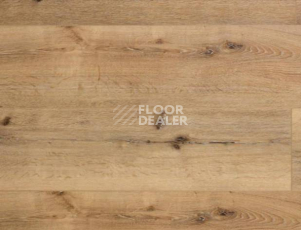 Кварцвиниловые полы Aquafloor Real Wood XL AF8002XL фото 1 | FLOORDEALER