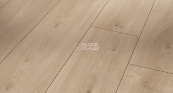 Ламинат Parador Trendtime 6 1567467 Дуб Авант Шлифованный фото 1 | FLOORDEALER