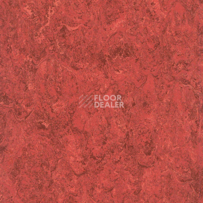 Линолеум Marmorette DLW 2.5mm 121-048 фото 1 | FLOORDEALER