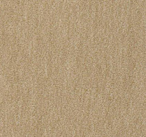 Ковролин Vorwerk Passion 1002 Vorwerk 8h93 фото 1 | FLOORDEALER