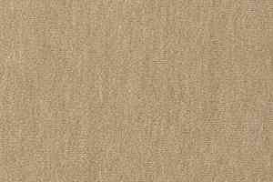 Ковролин Vorwerk Passion 1002 Vorwerk 8h93 фото  | FLOORDEALER