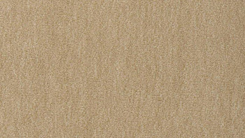 Ковролин Vorwerk Passion 1002 Vorwerk 8h93 фото 1 | FLOORDEALER