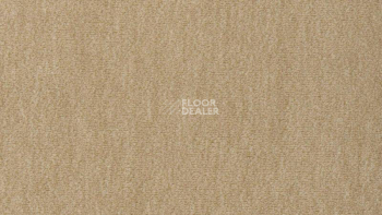 Ковролин Vorwerk Passion 1002 Vorwerk 8h93 фото 1 | FLOORDEALER