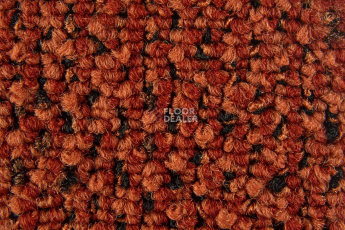 Balsan Take a Walk 540 Take a Walk фото 4 | FLOORDEALER