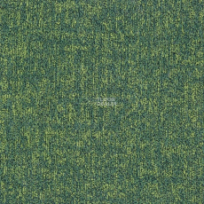 Escom Amazon 80421 фото 1 | FLOORDEALER