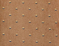 Ковролин Big Carus Prato 21 b 14 фото 1 | FLOORDEALER