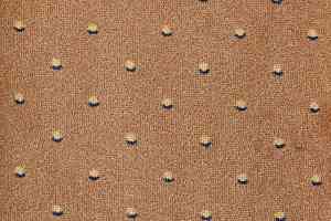 Ковролин Big Carus Prato 21 b 14 фото  | FLOORDEALER