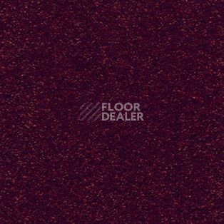 Ковролин AW Trillion 10 фото 1 | FLOORDEALER