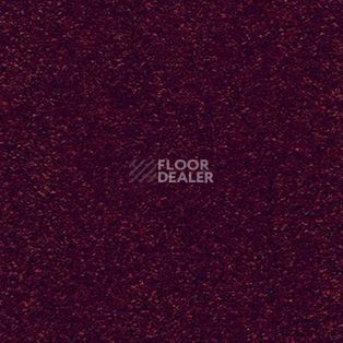 Ковролин AW Trillion 10 фото 1 | FLOORDEALER