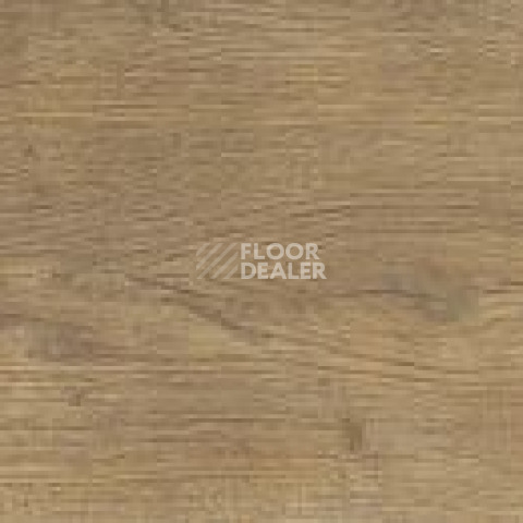 FineFloor FF-1200 Strong 1254 Дуб Мура фото 2 | FLOORDEALER
