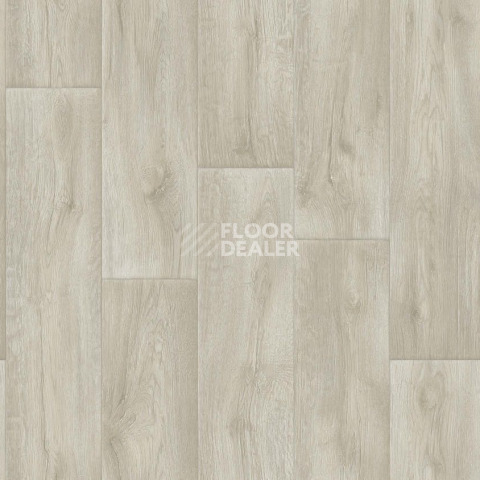 Линолеум Tarkett Gladiator Miller 1 фото 1 | FLOORDEALER