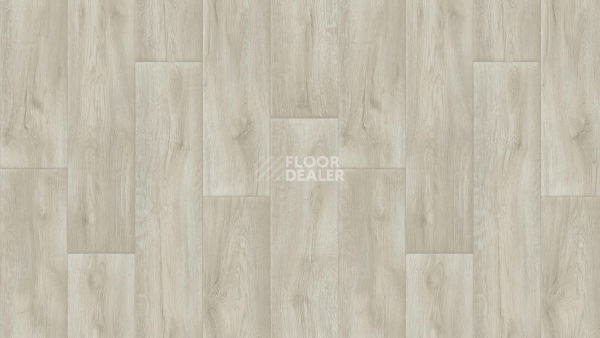 Линолеум Tarkett Gladiator Miller 1 фото 1 | FLOORDEALER