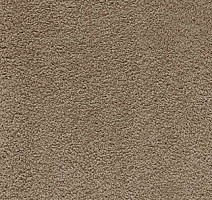 Ковролин AW Softissimo 49 фото 1 | FLOORDEALER