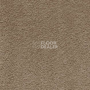 Ковролин AW Softissimo 49 фото 1 | FLOORDEALER