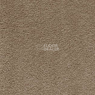 Ковролин AW Softissimo 49 фото 1 | FLOORDEALER