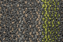 Beach 2011-12 + New Leaf фото 2 | FLOORDEALER