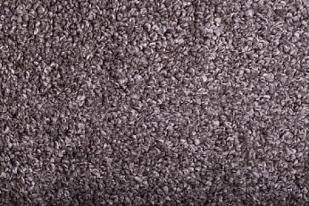 Ковролин Tarkett Diva 11181 фото 1 | FLOORDEALER