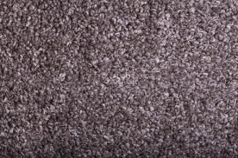 Tarkett Diva 11181 фото 1 | FLOORDEALER